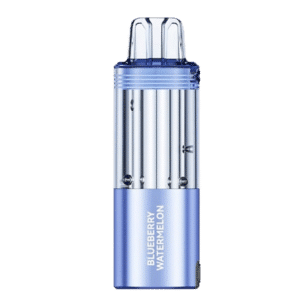 Blueberry Watermelon - Foger Switch Pro Pod 30K Puffs