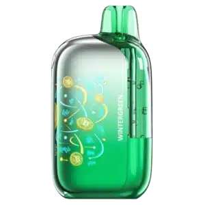 WinterGreen - Foger Bit 35K Puffs
